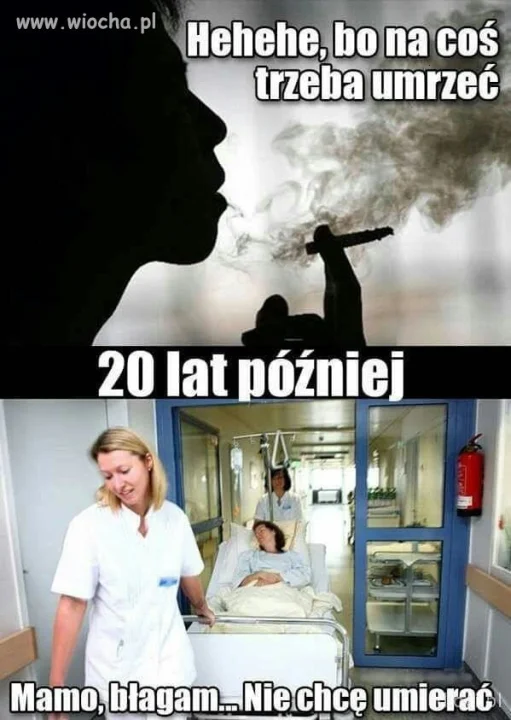 Logika palaczy
