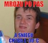 Mrozu po pas
