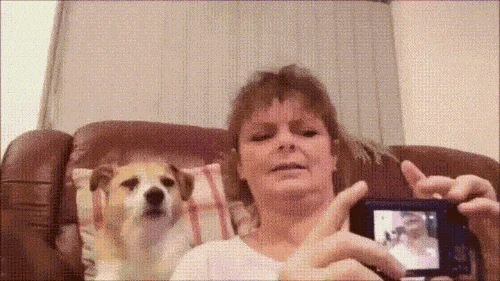 Własna.