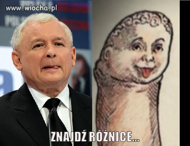 Bez komentarza 