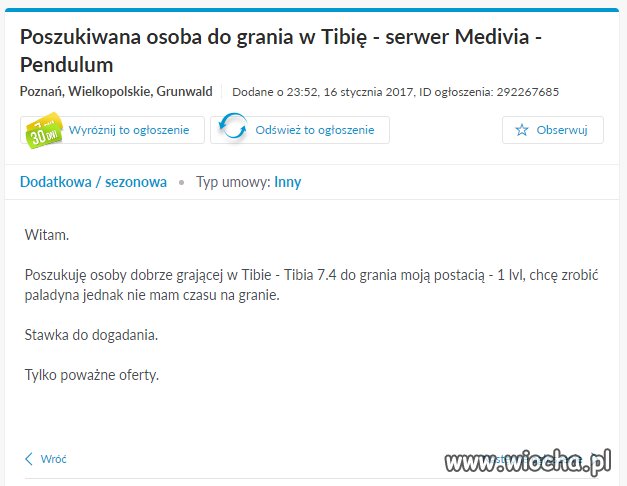 Oferta o pracę