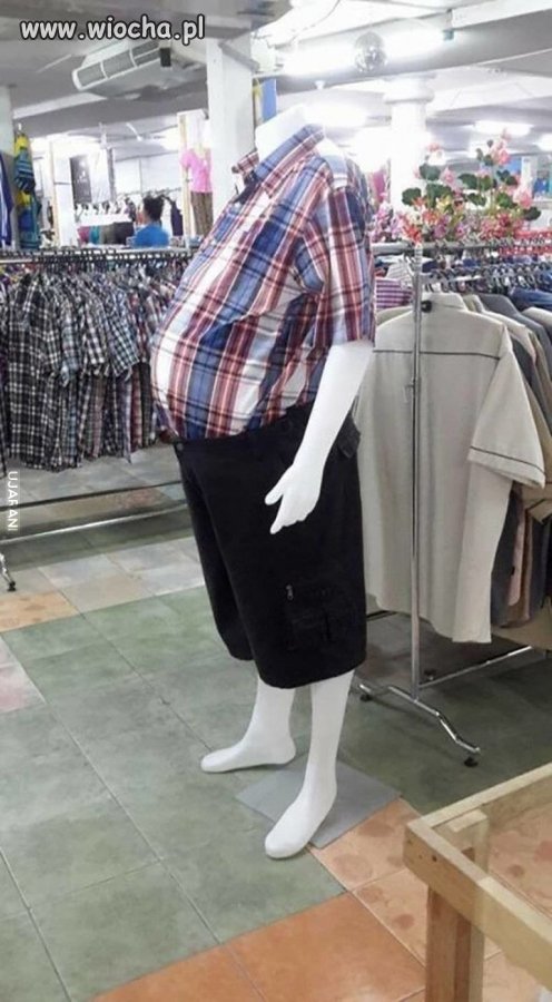 Model