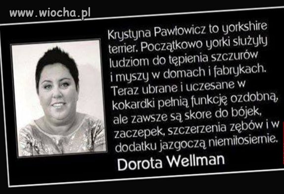 Pani poseł...kto sieje wiatr