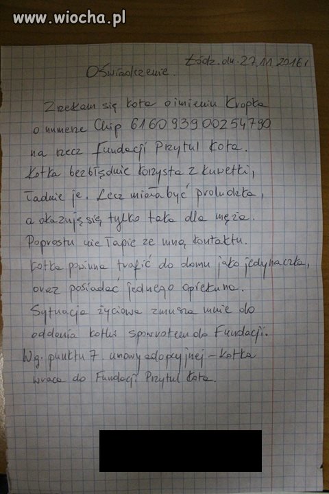 Koty znają się na ludziach
