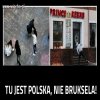 Opis poniżej ...