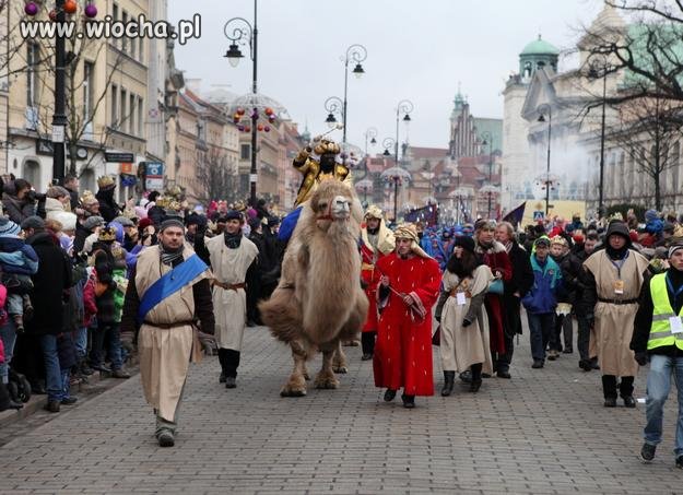 Murzyn na wielbłądzie w Warszawie !