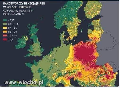 Królestwo PiS zaatakował SMOG.