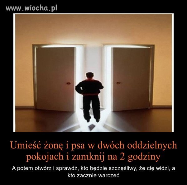 Kto zacznie warczeć? 