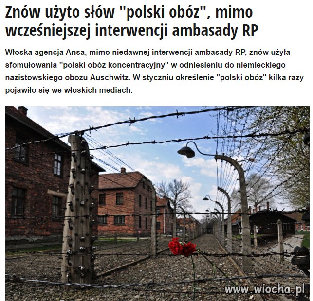 Oni to chyba robią specjalnie