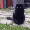 Gdy szef w pracy spyta