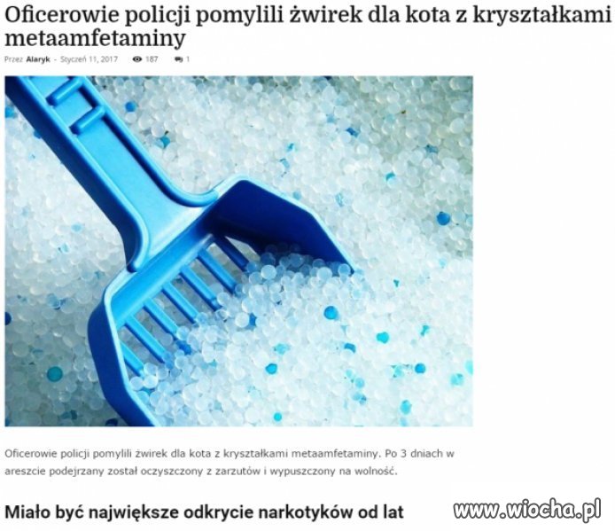 Jacy specjaliści