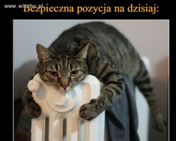 Bezpieczna pozycja na dzisiaj 