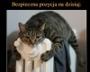 Bezpieczna pozycja na dzisiaj 
