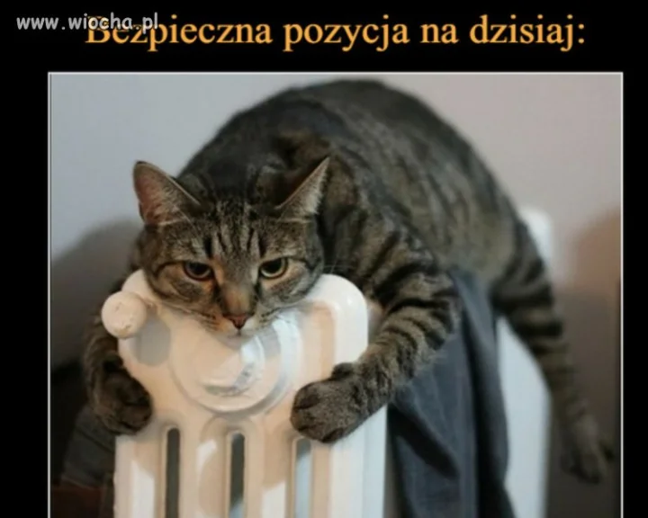Bezpieczna pozycja na dzisiaj 