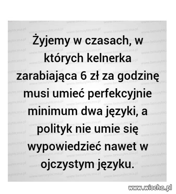 A polityk nie umie nawet...