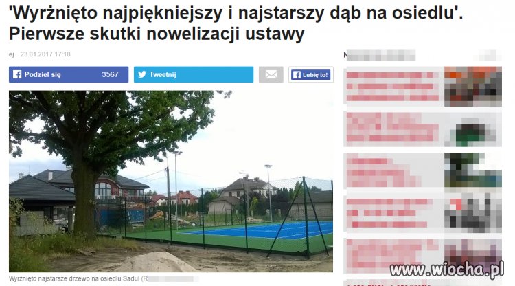 Z cyklu jak Polak