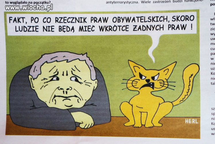 Doradca