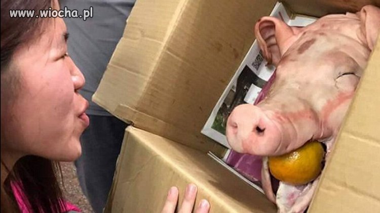 Rodziny imigrantów otrzymały paczki żywnościowe