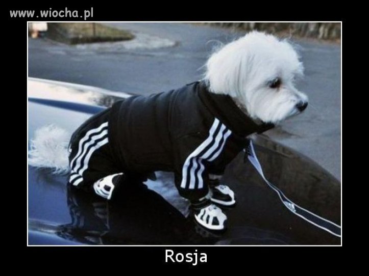 Wiadomo Rosja.