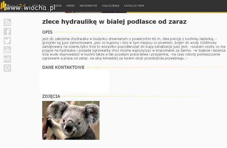 Ogłoszenie