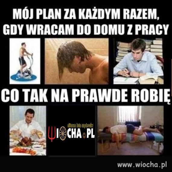 Mój plan