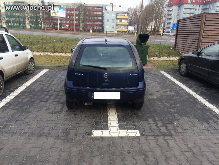 Mistrz parkowania