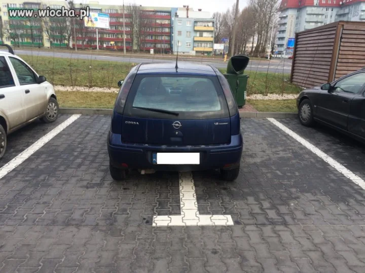 Mistrz parkowania