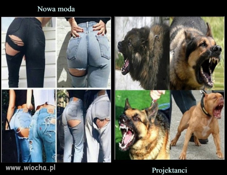 Nowa moda i projektanci