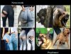 Nowa moda i projektanci