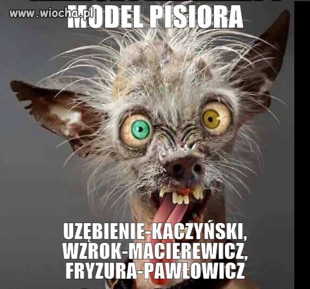Model