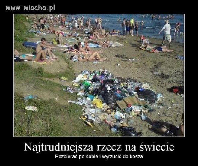 Lenistwo, głupota, brak kultury...