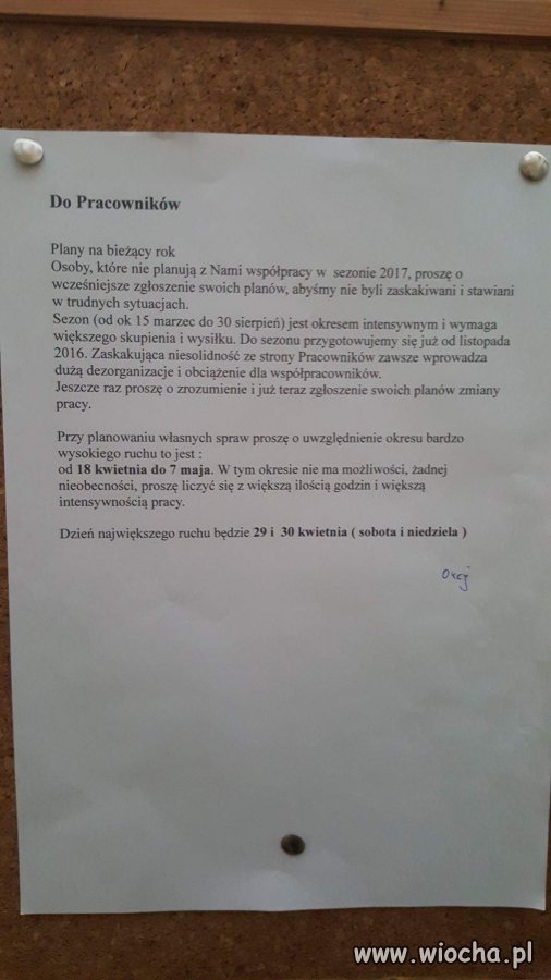 Absurdalna szefowa