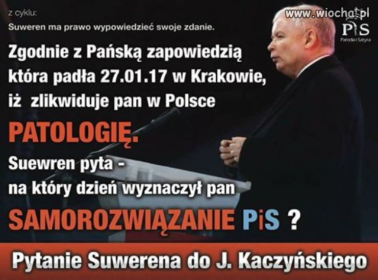 Samorozwiązanie 