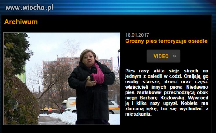 Pies Baskerville'ów