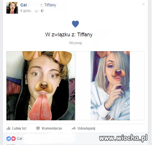 A w tym czasie na Dogbooku 