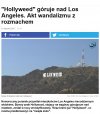 To się nazywa trolling