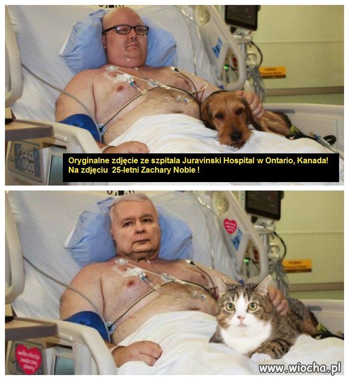 Widać że cały świat korzysta ze sprzętu WOSP!