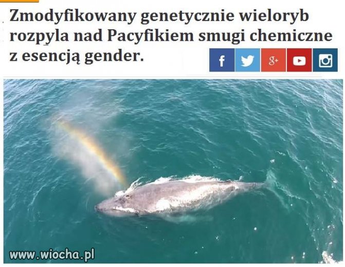 Taka ciekawostka