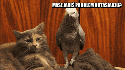 Masz jakiś problem ?