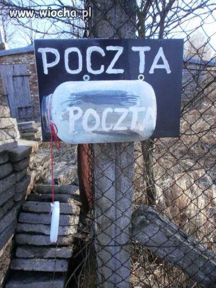 Polak potrafi...