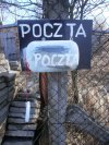 Polak potrafi...
