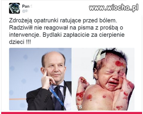 Eutanazja