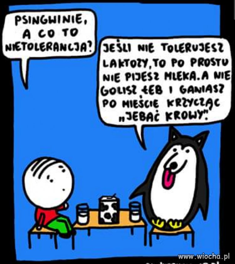 Tolerancja 