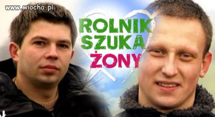 Ten gniot zdobył w tym roku Telekamerę 