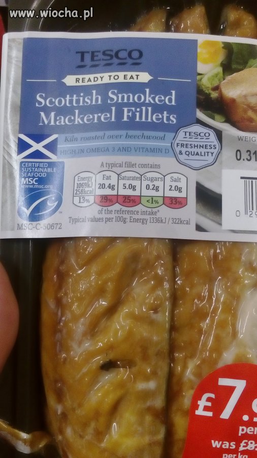 Wedzona mucha na dziko w UK