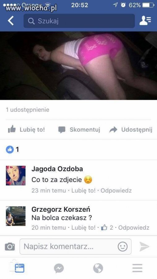 Bolec klasyczny 