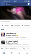 Bolec klasyczny 