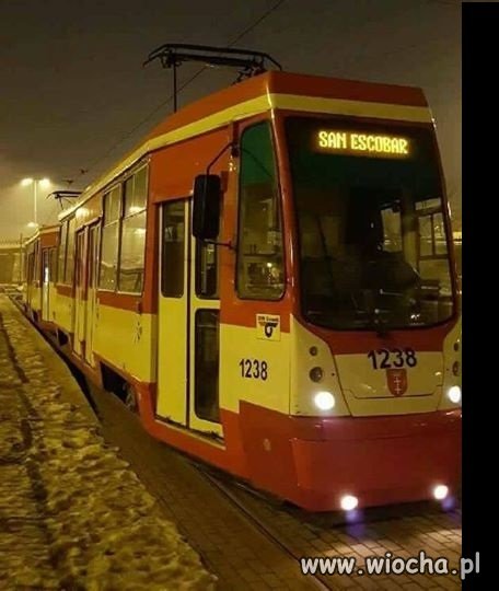 Tymczasem w Gdańsku
