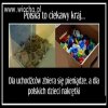 Właśnie,czemu?