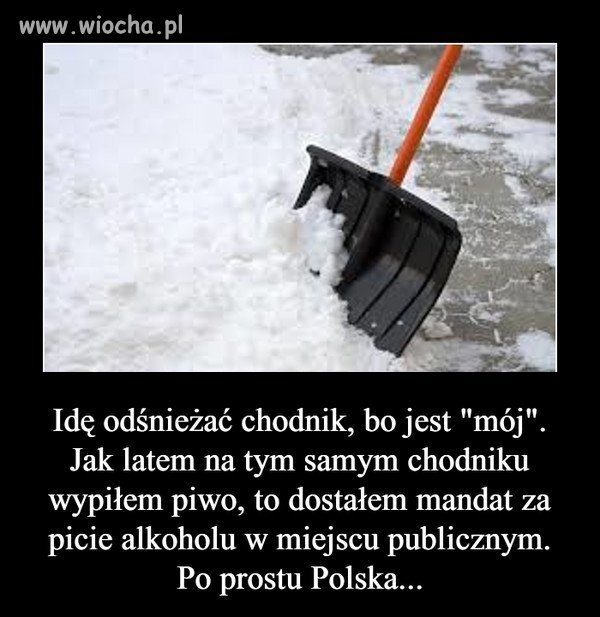 Bez komentarza